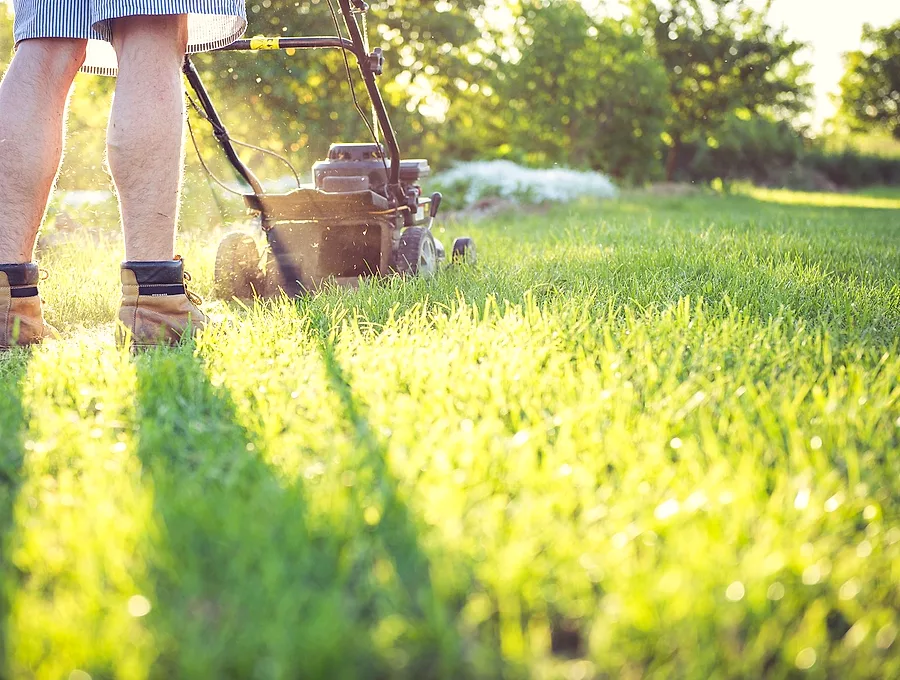 Lawn mower cutting a thick green lawn